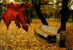 آغوش آینده بارون سکوت پاییز 